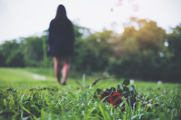 A woman turn back and walk away from red color roses flower on green grass field with nature background